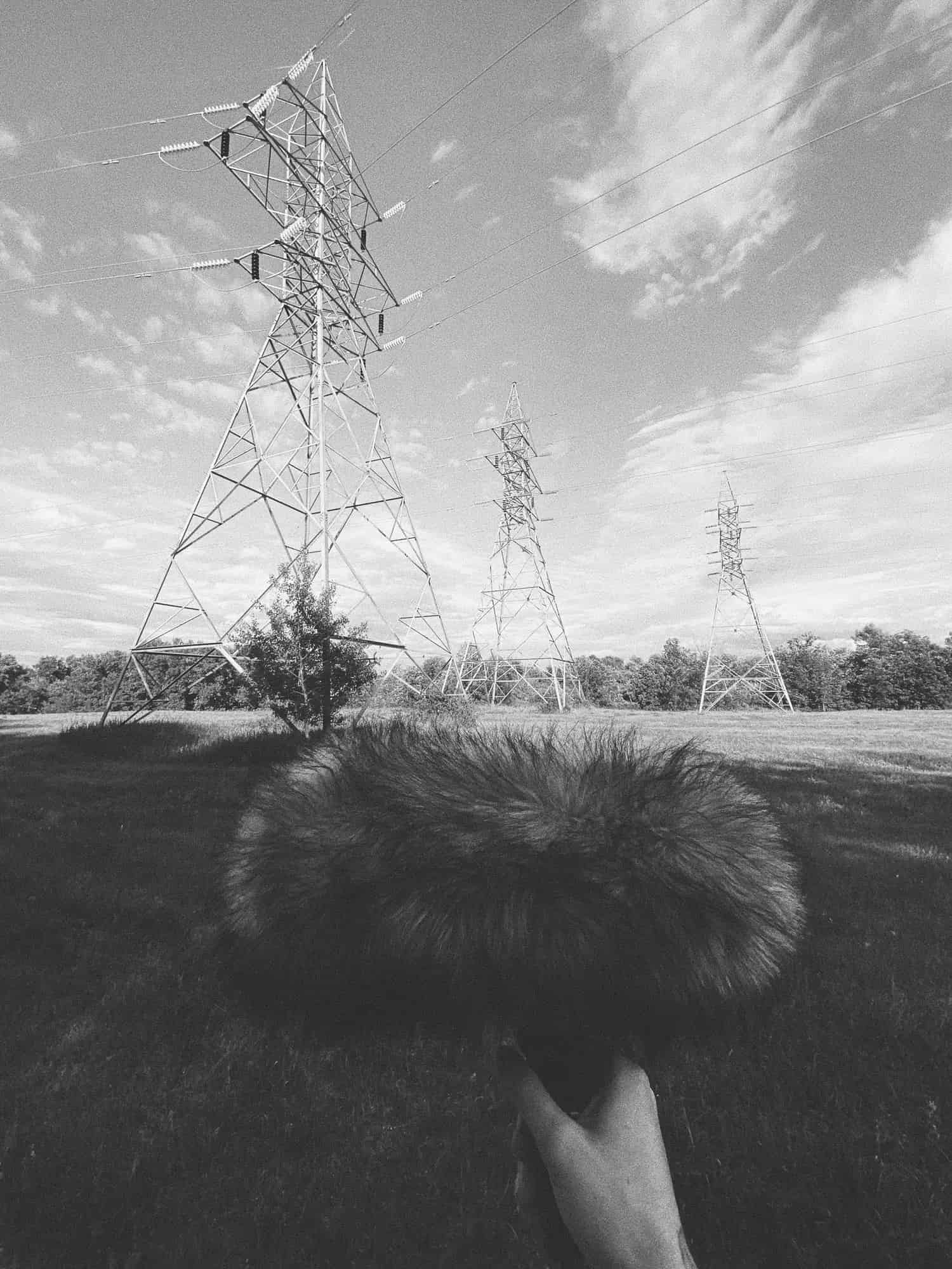 Black and white photograph of a hand holding a microphone inside a wind guard with an array of transformer towers in the background.